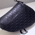 Dior SADDLE BAG Calfskin Embossed LB8131 (3)