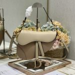 Dior SADDLE BAG Calfskin LB12250 (1)