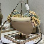 Dior SADDLE BAG Calfskin LB12250 (2)