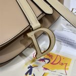 Dior SADDLE BAG Calfskin LB12250 (3)