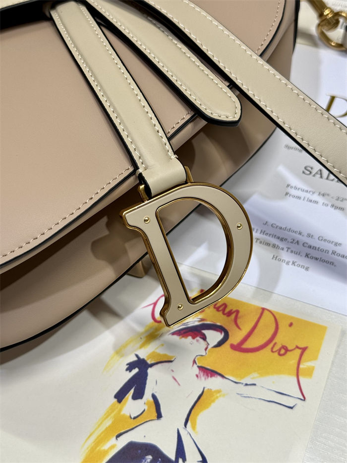 Dior SADDLE BAG Calfskin LB12250 (3)