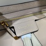 Dior SADDLE BAG Calfskin LB12250 (5)