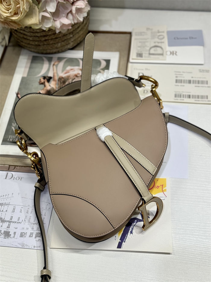 Dior SADDLE BAG Calfskin LB12250 (6)