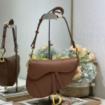 Dior SADDLE BAG Calfskin LB21749 (1)