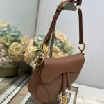 Dior SADDLE BAG Calfskin LB21749 (2)