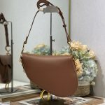 Dior SADDLE BAG Calfskin LB21749 (4)