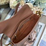 Dior SADDLE BAG Calfskin LB21749 (6)