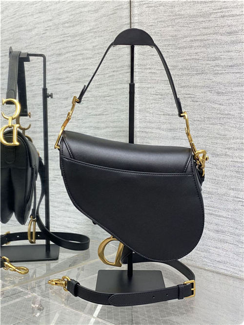 Dior SADDLE BAG Calfskin LB3181 (2)
