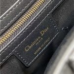 Dior SADDLE BAG Calfskin LB3181 (6)