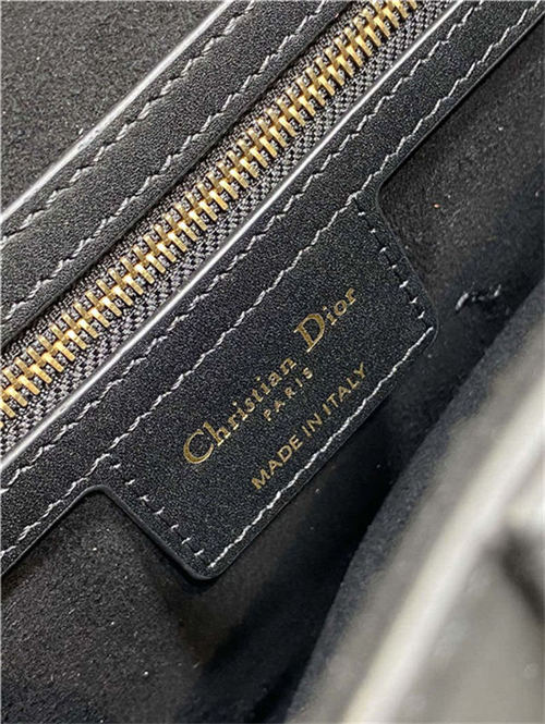 Dior SADDLE BAG Calfskin LB3181 (6)