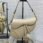 Dior SADDLE BAG Grained Calfskin LB13921 (1)