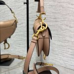 Dior SADDLE BAG Grained Calfskin LB21738 (4)