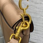 Dior SADDLE BAG Grained Calfskin LB21738 (5)
