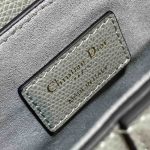 Dior SADDLE BAG Grained Calfskin LB21740 (6)