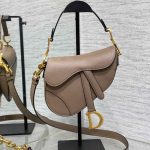 Dior SADDLE BAG Grained Calfskin LB21741 (1)