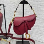 Dior SADDLE BAG Grained Calfskin LB21743 (1)