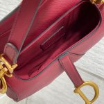 Dior SADDLE BAG Grained Calfskin LB21743 (2)