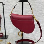 Dior SADDLE BAG Grained Calfskin LB21743 (5)