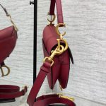 Dior SADDLE BAG Grained Calfskin LB21743 (6)