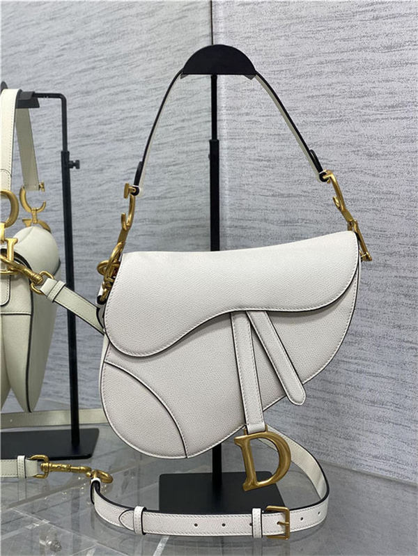 Dior SADDLE BAG Grained Calfskin LB3185 (1)