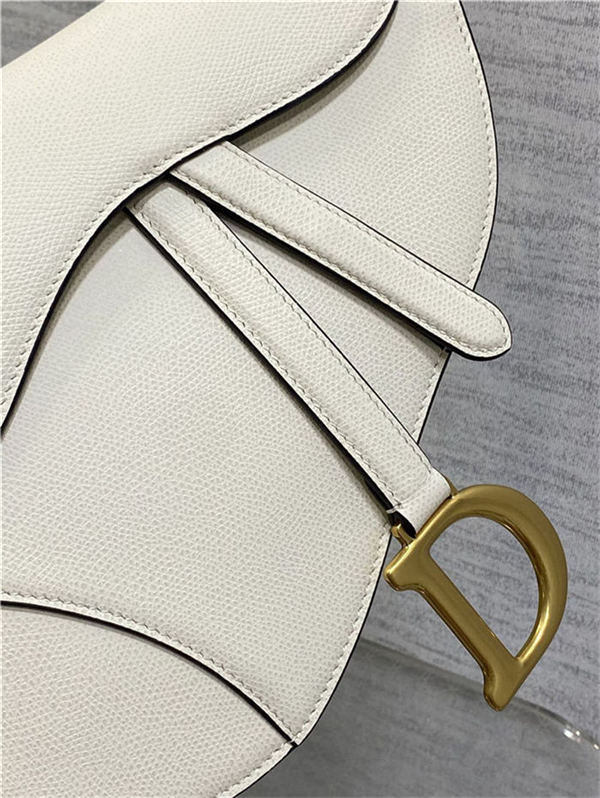 Dior SADDLE BAG Grained Calfskin LB3185 (4)