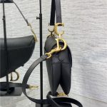 Dior SADDLE BAG Grained Calfskin LB3187 (3)
