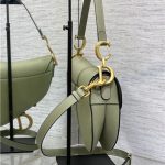 Dior SADDLE BAG Grained Calfskin LB3188 (3)
