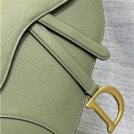 Dior SADDLE BAG Grained Calfskin LB3188 (4)