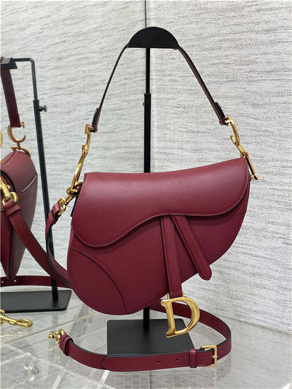 Dior SADDLE BAG Grained Calfskin LB3190 (1)