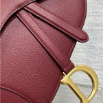 Dior SADDLE BAG Grained Calfskin LB3190 (3)