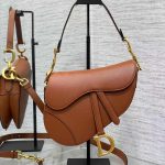 Dior SADDLE BAG Grained Calfskin LB5061 (1)