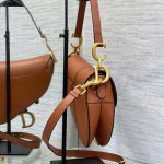 Dior SADDLE BAG Grained Calfskin LB5061 (4)