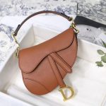 Dior SADDLE BAG Grained Calfskin LB5062 (1)