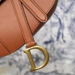 Dior SADDLE BAG Grained Calfskin LB5062 (2)