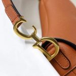 Dior SADDLE BAG Grained Calfskin LB5062 (4)