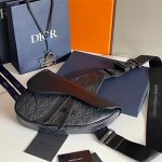 Dior SADDLE BAG LB11233 (1)