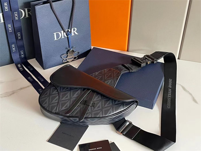 Dior SADDLE BAG LB11233 (1)