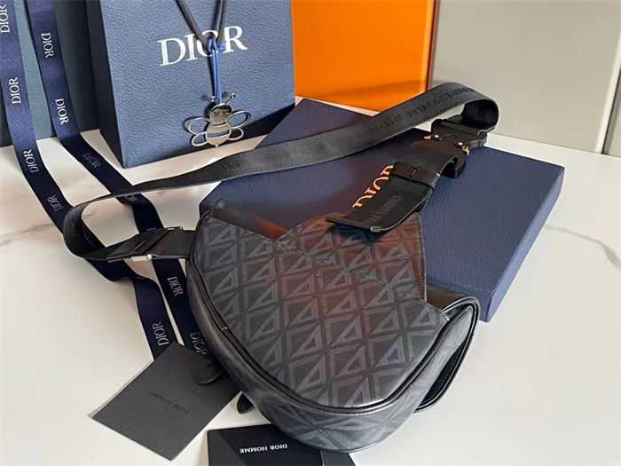 Dior SADDLE BAG LB11233 (2)