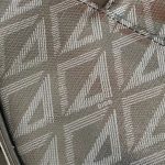 Dior SADDLE BAG LB11233 (3)