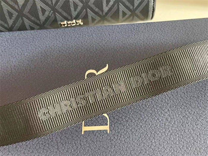 Dior SADDLE BAG LB11233 (4)