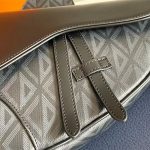Dior SADDLE BAG LB11233 (5)