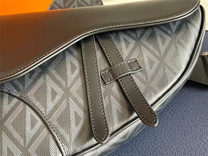 Dior SADDLE BAG LB11233 (5)