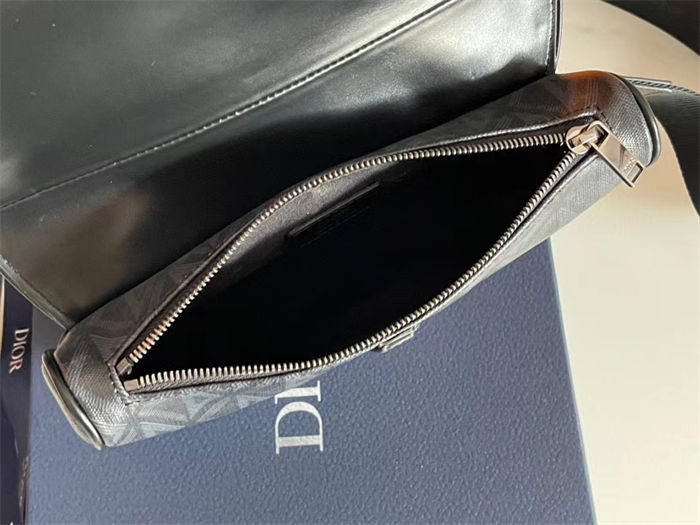 Dior SADDLE BAG LB11233 (6)