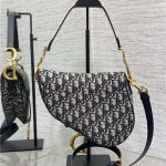Dior SADDLE BAG Oblique Embroidery LB3173 (2)