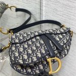 Dior SADDLE BAG Oblique Embroidery LB3173 (3)