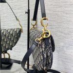 Dior SADDLE BAG Oblique Embroidery LB3173 (4)