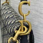 Dior SADDLE BAG Oblique Embroidery LB3173 (5)