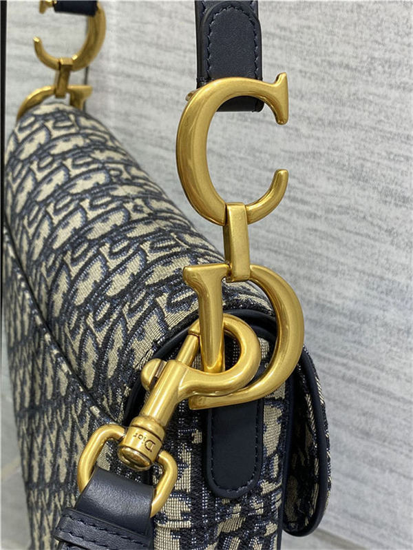 Dior SADDLE BAG Oblique Embroidery LB3173 (5)