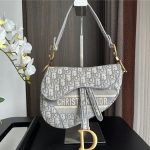 Dior SADDLE BAG Oblique Embroidery LB3184 (1)
