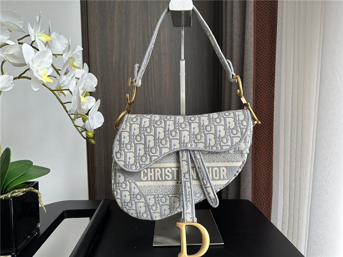 Dior SADDLE BAG Oblique Embroidery LB3184 (1)